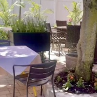 Casa Luis has a beautiful outdoor patio